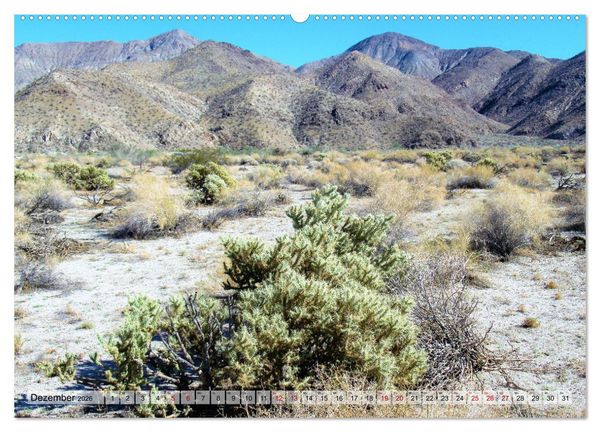 Produktbild: Palm Springs und Umgebung (Wandkalender 2026 DIN A2 quer), CALVENDO Monatskalender