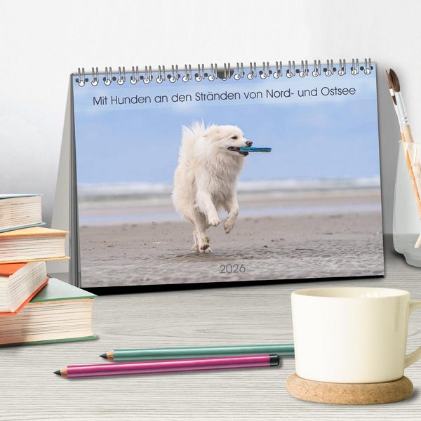 Produktbild: Mit Hunden an den Str&auml;nden von Nord- und Ostsee (Tischkalender 2026 DIN A5 quer), CALVENDO Monatskalender