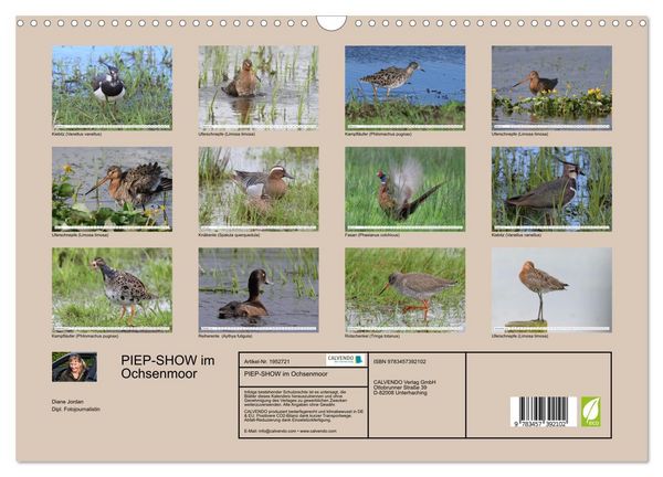 Produktbild: PIEP-SHOW im Ochsenmoor (Wandkalender 2026 DIN A3 quer), CALVENDO Monatskalender