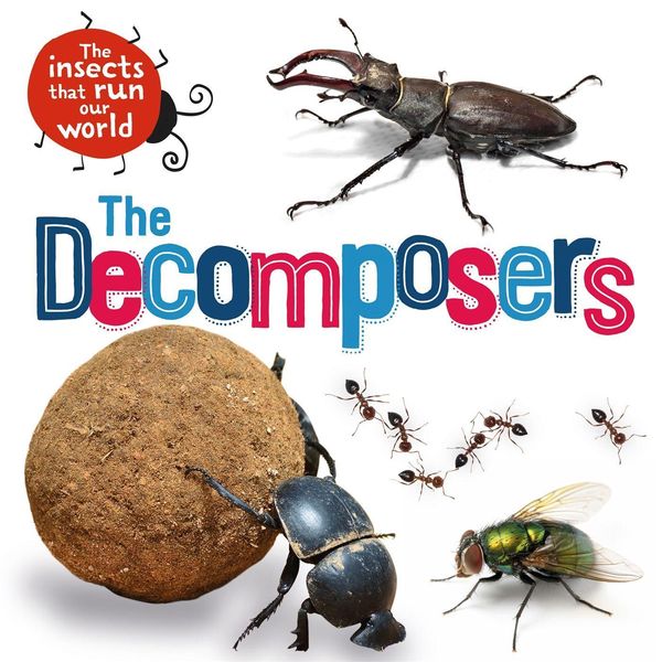 Produktbild: The Insects that Run Our World: The Decomposers