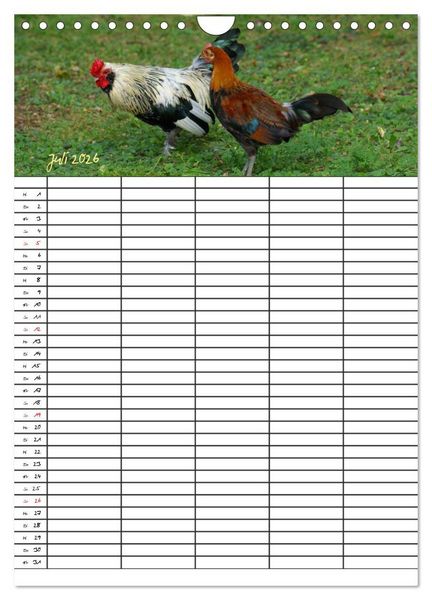 Produktbild: Bauernhoftiere Familienplaner (Wandkalender 2026 DIN A4 hoch), CALVENDO Monatskalender