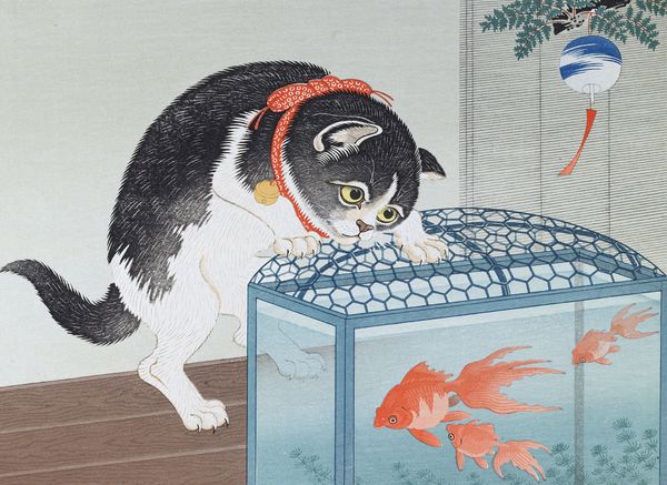 Produktbild: Katzen
