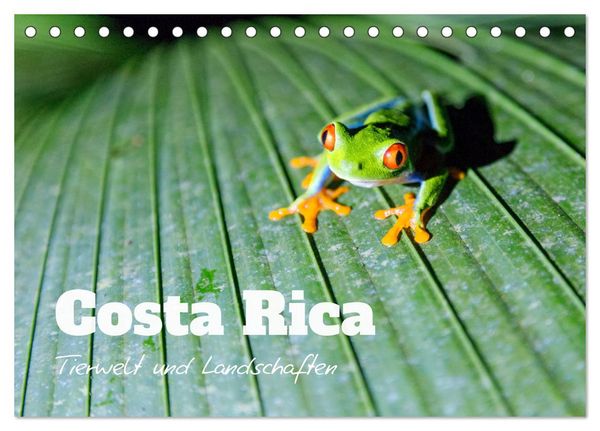 Produktbild: Costa Rica - Tierwelt und Landschaften (Tischkalender 2026 DIN A5 quer), CALVENDO Monatskalender
