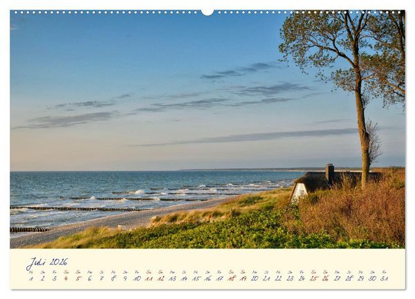 Produktbild: OSTSEEGL&Uuml;CK - Gl&uuml;cksmomente auf dem Dar&szlig; (Wandkalender 2026 DIN A2 quer), CALVENDO Monatskalender