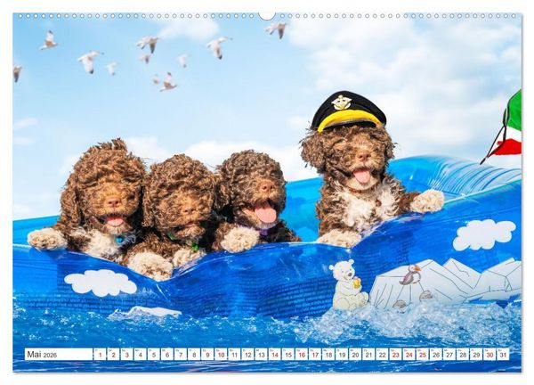 Produktbild: Lagotto Romagnolo Welpen - Sieben kleine Weltentdecker auf gro&szlig;er Fahrt (Wandkalender 2026 DIN A2 quer), CALVENDO Monatskalender