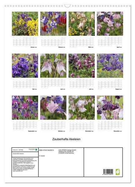 Produktbild: Zauberhafte Akeleien (Wandkalender 2026 DIN A2 hoch), CALVENDO Monatskalender