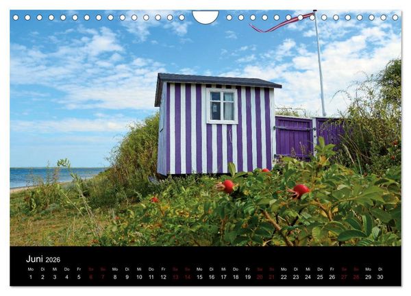 Produktbild: Segelsommer - D&auml;nische S&uuml;dsee (Wandkalender 2026 DIN A4 quer), CALVENDO Monatskalender