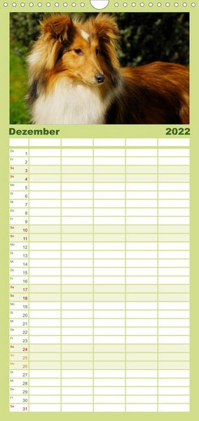 Produktbild: Sheltie 2022 - Familienplaner hoch (Wandkalender 2022 , 21 cm x 45 cm, hoch)