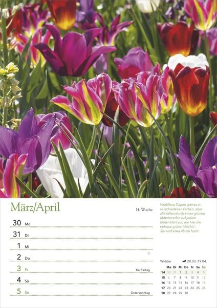 Produktbild: Ein Jahr in meinem Garten – Wochenkalender 2026 – Garten-Kalender mit 53 Blatt – Format 21,0 x 29,7 cm – Spiralbindung