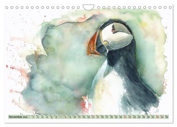 Produktbild: The Fascinating World of Birds in Watercolour (Wall Calendar 2026 DIN A4 landscape), CALVENDO 12 Month Wall Calendar