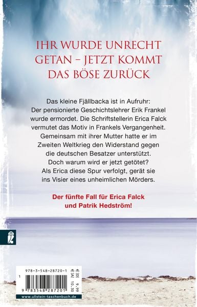 Produktbild: Engel aus Eis / Falck und Hedström Krimis Bd. 5