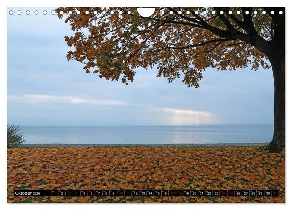 Produktbild: Sehenswerter Bodensee (Wandkalender 2026 DIN A4 quer), CALVENDO Monatskalender