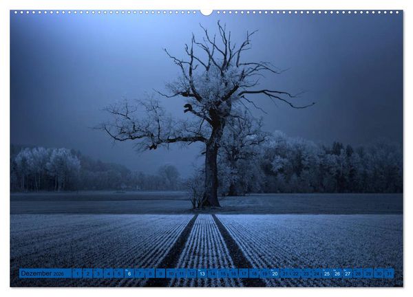 Produktbild: B&auml;ume sind Tr&auml;ume (hochwertiger Premium Wandkalender 2026 DIN A2 quer), Kunstdruck in Hochglanz