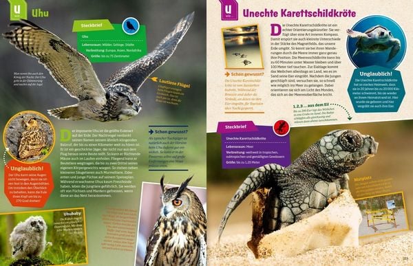 Produktbild: WAS IST WAS Geniale Tiere ... und ihre Tricks