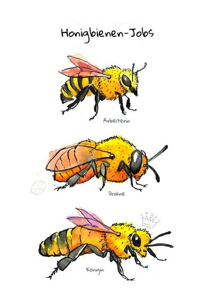 Produktbild: OMG Bees!