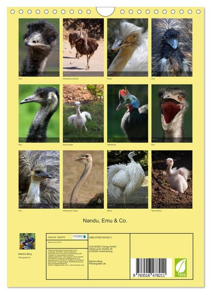 Produktbild: Nandu, Emu & Co. (Wandkalender 2026 DIN A4 hoch), CALVENDO Monatskalender