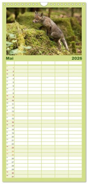 Produktbild: Familienplaner 2026 - Bei den Jungf&uuml;chsen mit 5 Spalten (Wandkalender, 21 x 45 cm) CALVENDO