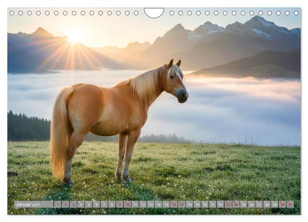 Produktbild: Alpent&auml;ler und Haflinger Pferde (Wandkalender 2027 DIN A4 quer), CALVENDO Monatskalender