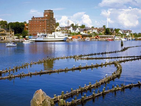 Produktbild: CALVENDO Puzzle Heringszaun bei Kappeln an der Schlei | 1000 Teile Lege-Gr&ouml;&szlig;e 64x48cm Foto-Puzzle f&uuml;r gl&uuml;ckliche Stunden