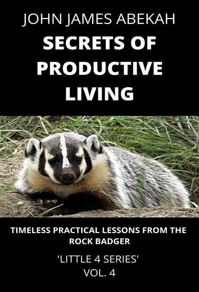 Produktbild: Secrets of Productive Living (Timeless Practical Lessons from the Rock Badger)