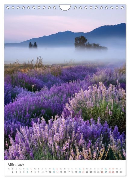 Produktbild: Der Sommer bl&uuml;ht violett (Wandkalender 2027 DIN A4 hoch), CALVENDO Monatskalender