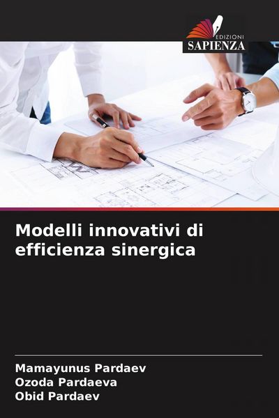 Produktbild: Modelli innovativi di efficienza sinergica
