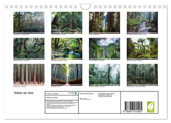 Produktbild: W&auml;lder der Welt (Wandkalender 2026 DIN A4 quer), CALVENDO Monatskalender