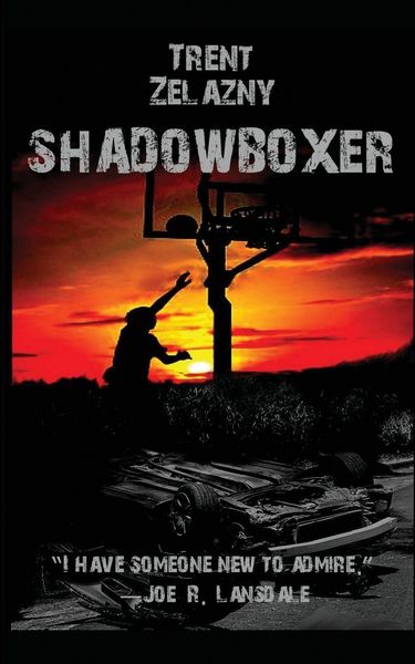 Produktbild: Shadowboxer