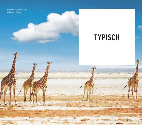 Produktbild: POLYGLOTT on tour Reisef&uuml;hrer Namibia