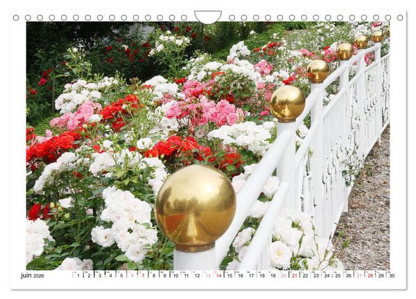 Produktbild: &Agrave; la cl&ocirc;ture du jardin (Calendrier mural 2026 DIN A4 vertical), CALVENDO calendrier mensuel