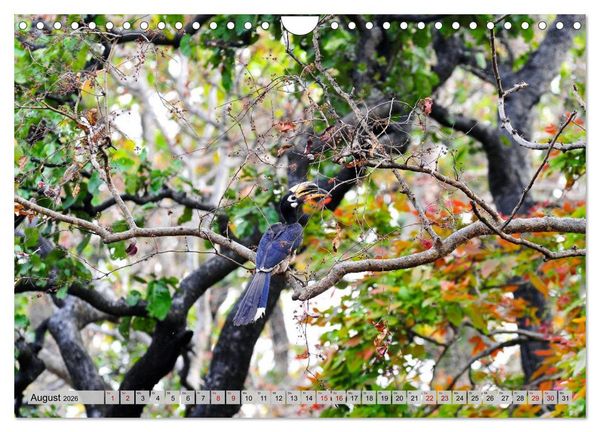 Produktbild: Uttarakhand &ndash; Land der G&ouml;tter (Wandkalender 2026 DIN A4 quer), CALVENDO Monatskalender