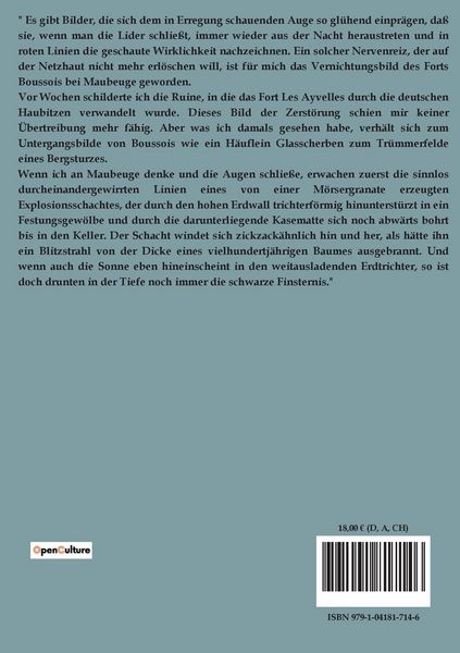 Produktbild: Die st&auml;hlerne Mauer
