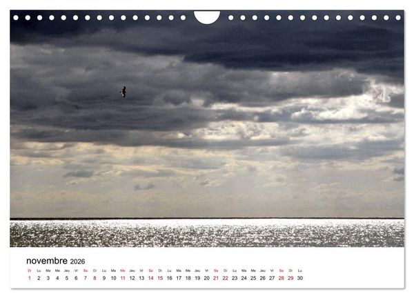 Produktbild: La mer d'Occitanie (Calendrier mural 2026 DIN A4 vertical), CALVENDO calendrier mensuel