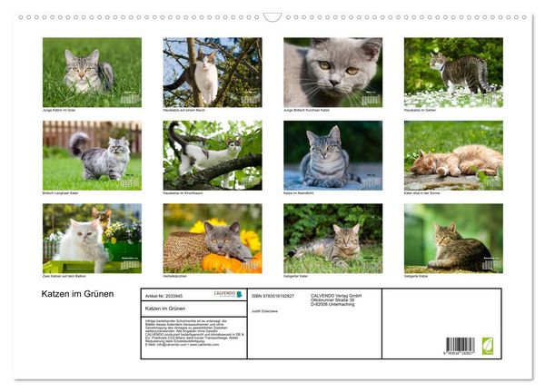 Produktbild: Katzen im Gr&uuml;nen (Wandkalender 2026 DIN A2 quer), CALVENDO Monatskalender