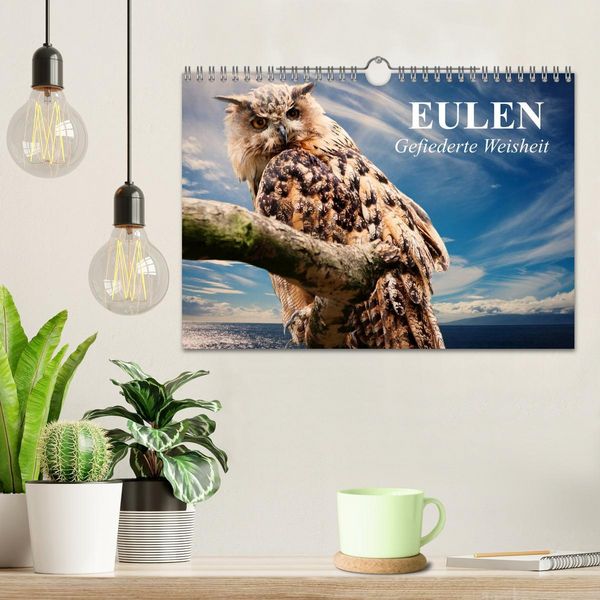 Produktbild: Eulen. Gefiederte Weisheit (Wandkalender 2026 DIN A4 quer), CALVENDO Monatskalender