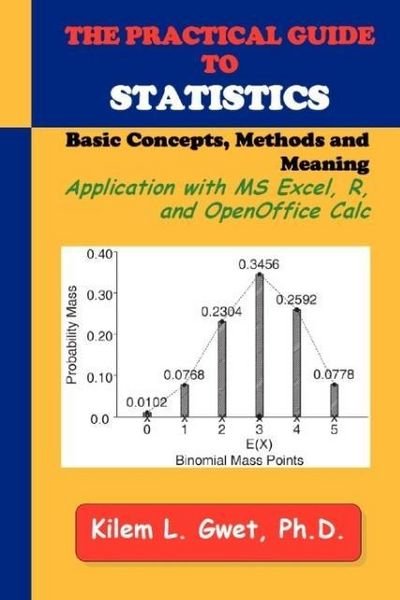 Produktbild: The Practical Guide to Statistics