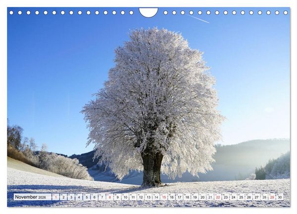 Produktbild: Winter. Zauberhafte Schneelandschaften (Wandkalender 2026 DIN A4 quer), CALVENDO Monatskalender