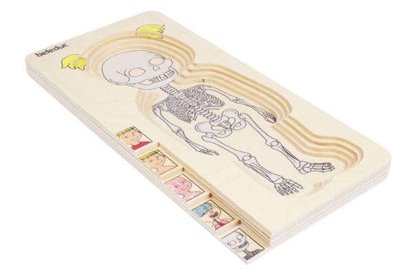 Produktbild: Lagen-Puzzle "Dein K&ouml;rper" M&auml;dchen / 29 Teile