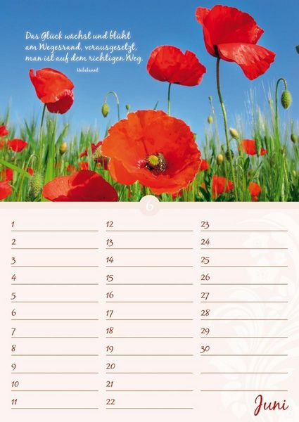 Produktbild: Geburtstagskalender Bl&uuml;tenpracht - immerw&auml;hrend - (21 x 30)