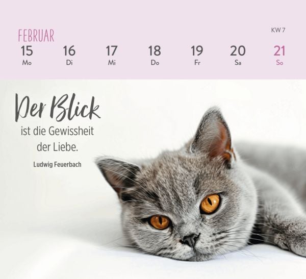 Produktbild: Mini-Wochenkalender 2027: F&uuml;r Katzenfreunde