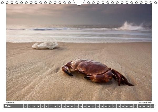 Produktbild: Nordsee - Impressionen einer Landschaft am Meer (Wandkalender immerw&auml;hrend DIN A4 quer)