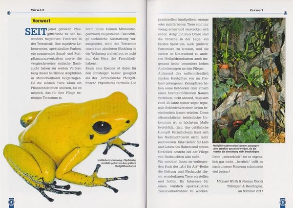 Produktbild: Der Schreckliche Pfeilgiftfrosch
