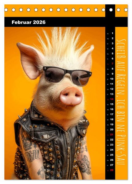 Produktbild: Coole Sau - Lustiger Spr&uuml;che Kalender mit witzigen Schweinchen (Tischkalender 2026 DIN A5 hoch), CALVENDO Monatskalender
