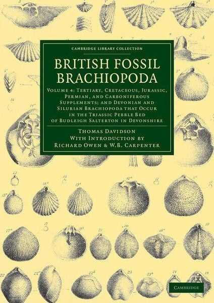Produktbild: British Fossil Brachiopoda - Volume 4