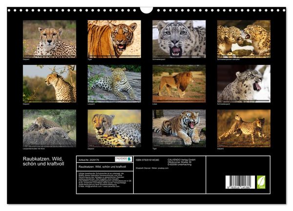 Produktbild: Raubkatzen. Wild, sch&ouml;n und kraftvoll (Wandkalender 2026 DIN A3 quer), CALVENDO Monatskalender