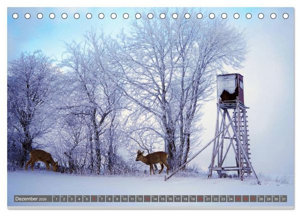 Produktbild: Zauberhafte Schwalm (Tischkalender 2026 DIN A5 quer), CALVENDO Monatskalender