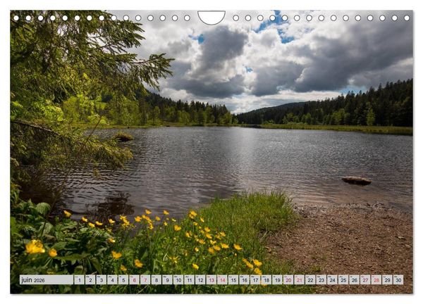 Produktbild: Splendeurs des Vosges (Calendrier mural 2026 DIN A4 vertical), CALVENDO calendrier mensuel