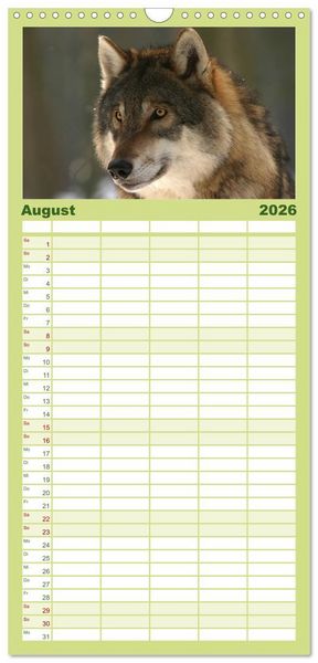 Produktbild: Familienplaner 2026 - W&ouml;lfe. Verwegene Anmut mit 5 Spalten (Wandkalender, 21 x 45 cm) CALVENDO