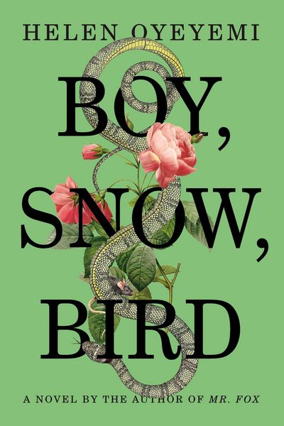 Produktbild: Boy, Snow, Bird