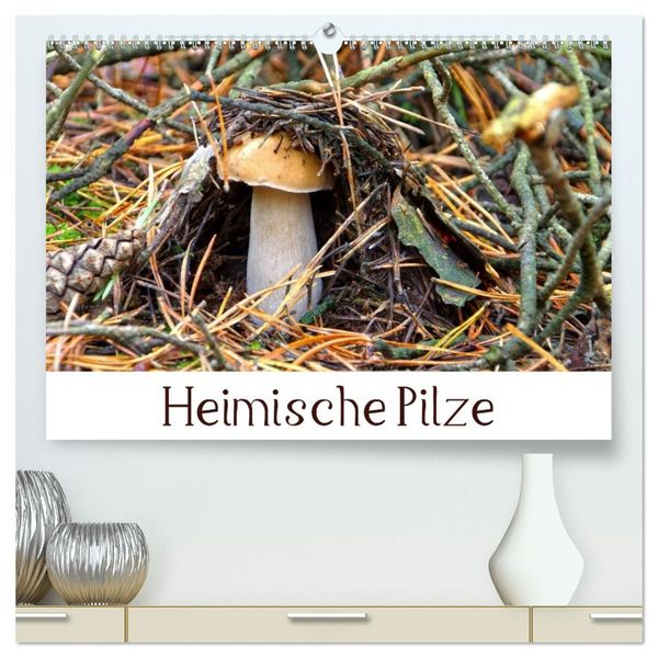 Produktbild: Heimische Pilze (hochwertiger Premium Wandkalender 2026 DIN A2 quer), Kunstdruck in Hochglanz